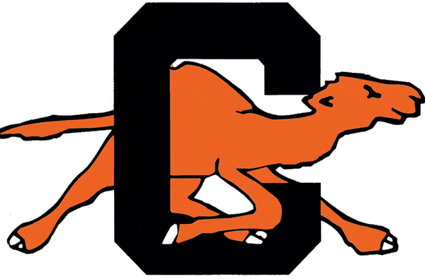 Campbell Fighting Camels 1993-2004 Primary Logo diy DTF decal sticker